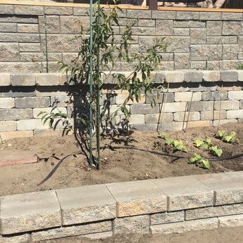 Tin Landscaping - a brick retaining wall with a tomato planter in the foreground - Landscaping Near Me Tin Landscaping - a brick retaining wall with a tomato planter in the foreground - Landscaping Near Me