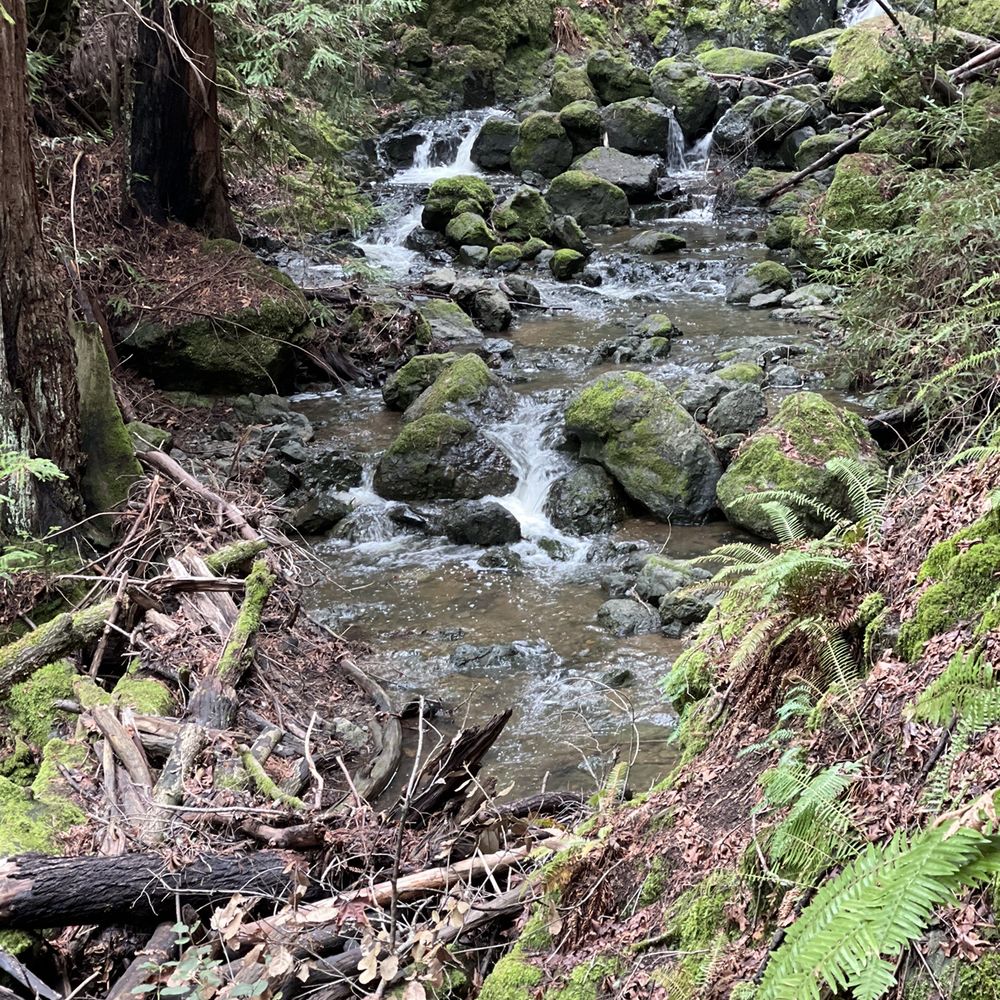 Cataract Falls Trail - Hiking Near Me Cataract Falls Trail - Hiking Near Me