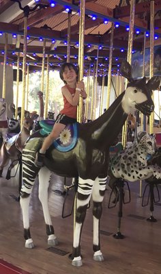 Tom Mankiewicz Conservation Carousel by null