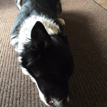 Winslow Spirits & Things - Make sure you stop and pet the dog also. Warning however dog loves to engage customers in game of fetch - Beer, Wine & Spirits Near Me - Brewster, Massachusetts