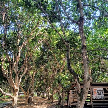 BOB ROTH’S NEW RIVER GROVES - Updated October 2025 - 628 Photos & 197 ...