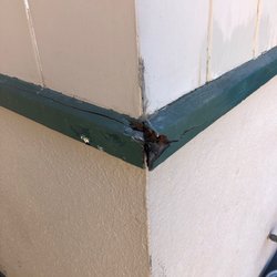 Miller Farms Nursery - Damage done to house during demo