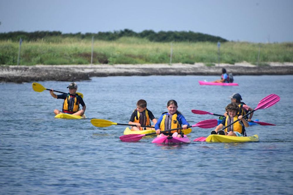 New England Science & Sailing Foundation Logo