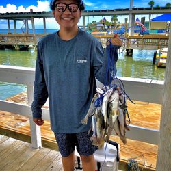Danny B's - Sand trout and whiting success!