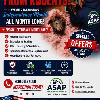 ASAP Rodent Exclusion Pro - Pest Control Near Me - San Francisco, California ASAP Rodent Exclusion Pro - Pest Control Near Me - San Francisco, California