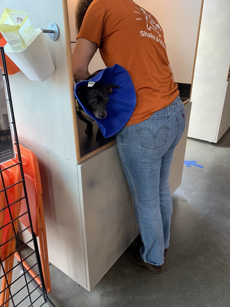 SHAKE & SHINE CANINE WASH AND DELI with 57 real customer photos