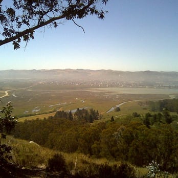 Morro Bay State Park - View over Morro Bay park looking south, from Black Hill. Taken with my phone. - Beaches Near Me - Morro Bay, California Morro Bay State Park - View over Morro Bay park looking south, from Black Hill. Taken with my phone. - Beaches Near Me - Morro Bay, California
