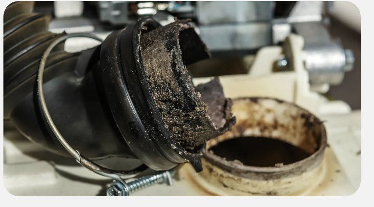 Slide of Green Apple Mechanical