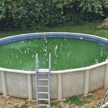 Flohr Pools - This is the state of the pool after shocking 4 times and algaecide treatment - Pool & Hot Tub Service Near Me - Martinsburg, West Virginia Flohr Pools - This is the state of the pool after shocking 4 times and algaecide treatment - Pool & Hot Tub Service Near Me - Martinsburg, West Virginia