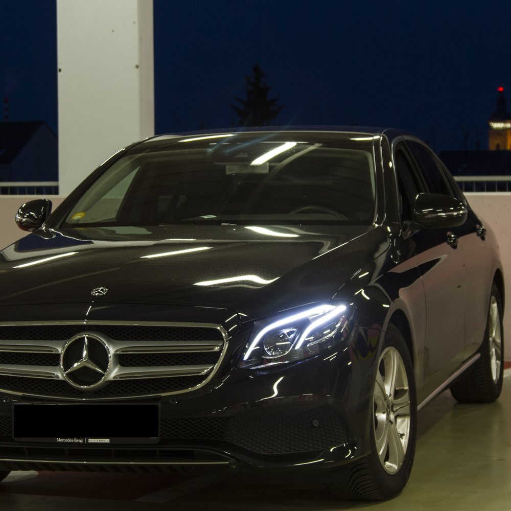 RETRODEFORMATION OF CARBONIFEROUS TRACE FOSSILS FROM THE NARRAGANSETT  BASIN, UNITED STATES, USING RAINDROP IMPRINTS AND BEDDING-, image size:1000x1000