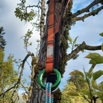 Lightning Tree Service - Tree Services Near Me Lightning Tree Service - Tree Services Near Me
