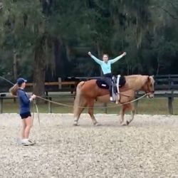 Central Florida Equestrain Center - My first vaulting class