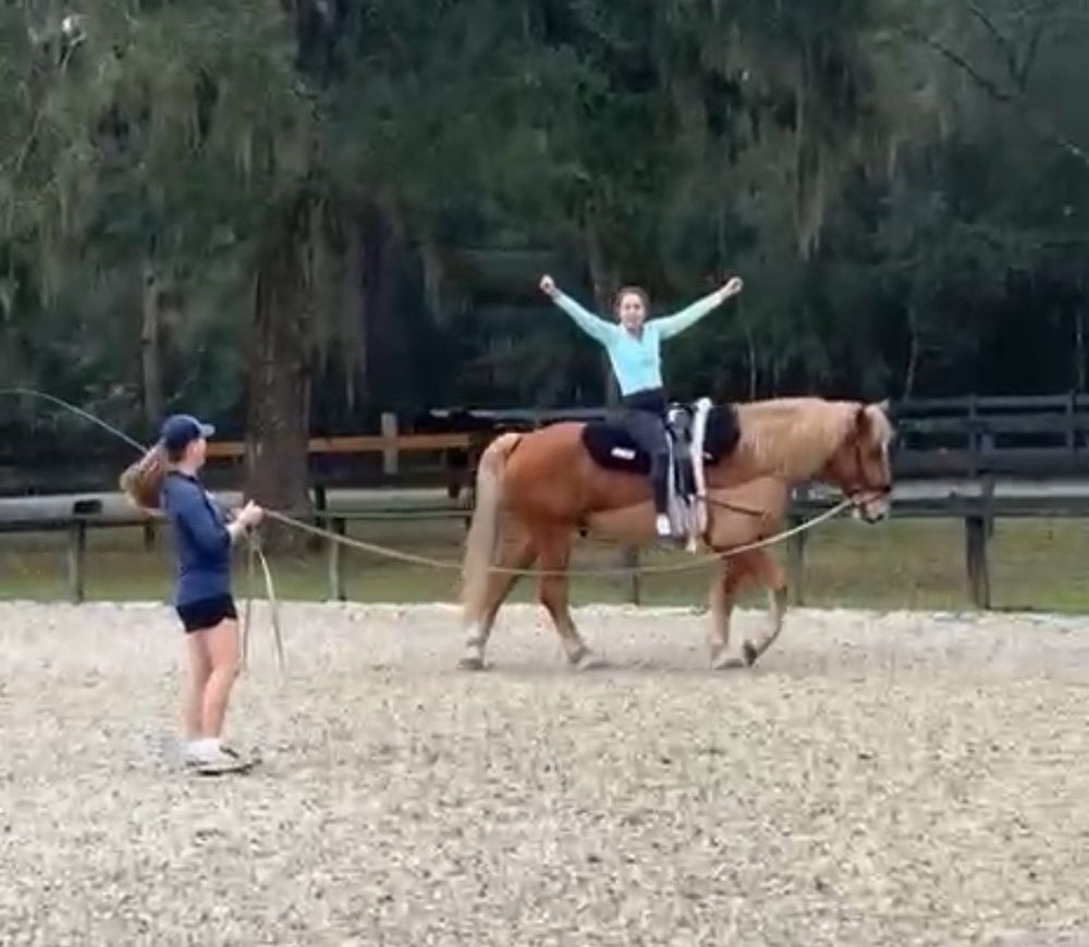 Central Florida Equestrain Center - equestrian in Apopka, FL