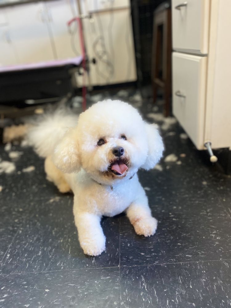 REBEL TAILS Updated May 2024 12 Photos 1901 NW Cary Pkwy