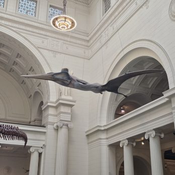 Field Museum - Museums Near Me - Chicago, Illinois