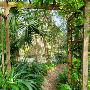 Mead Botanical Garden - Botanical Gardens Near Me - Winter Park, Florida
