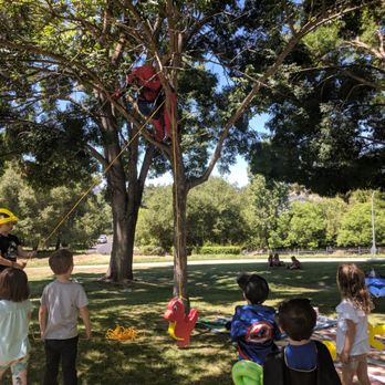 Marvelous Party Characters - Spiderman claims a tree! - Clowns Near Me Marvelous Party Characters - Spiderman claims a tree! - Clowns Near Me