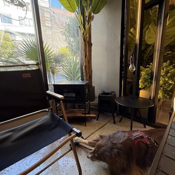 Diamond Coffee N’ Pastry - Dog friendly cafe - Desserts Near Me - San Francisco, California