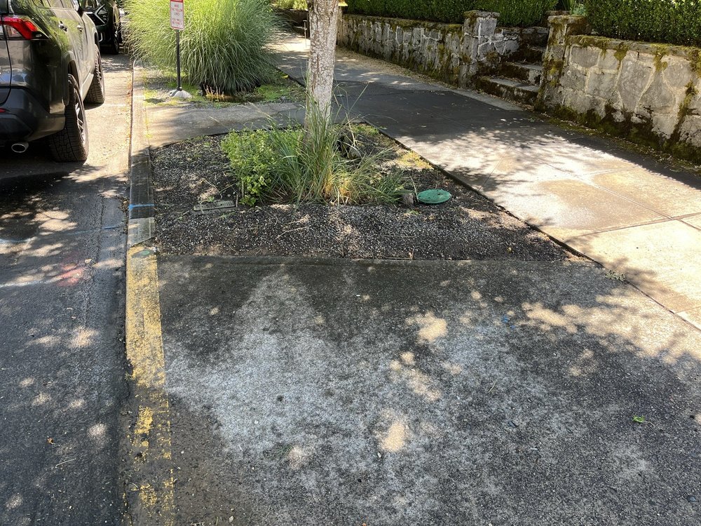 Slide of Royal Flush Plumbing