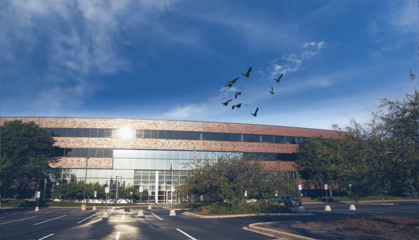 Photo of Weil Foot & Ankle Institute - Mount Prospect, IL, US. Weil Foot & Ankle Institute