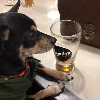 Rowdy's Brew Co - Dog friendly! - Breweries Near Me - Rancho Cucamonga, California
