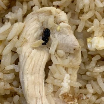 The Thai Restaurant - Fly with chicken fried rice - Thai Near Me - Lancaster, California
