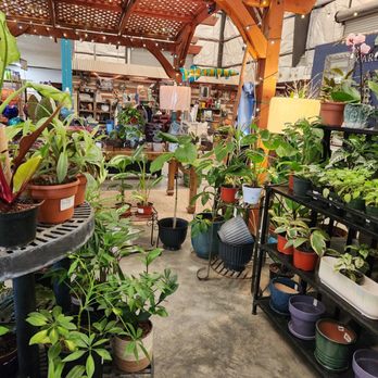 Garden Accents - Nurseries & Gardening Near Me - Gilroy, California Garden Accents - Nurseries & Gardening Near Me - Gilroy, California