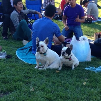 Washington Square Park - It's dog and people heaven :) - Parks Near Me - San Francisco, California Washington Square Park - It's dog and people heaven :) - Parks Near Me - San Francisco, California