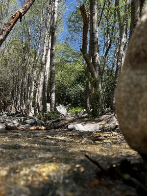 North Etiwanda Preserve by null