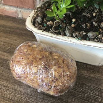 NoButcher - Red wine cheese ball - Delis Near Me - Las Vegas, Nevada NoButcher - Red wine cheese ball - Delis Near Me - Las Vegas, Nevada