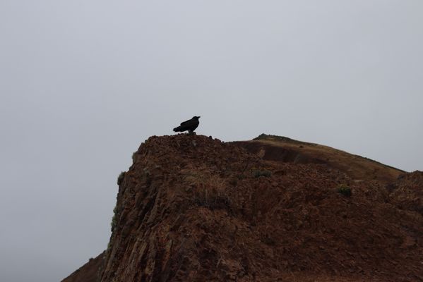 Tennessee Valley, California by null