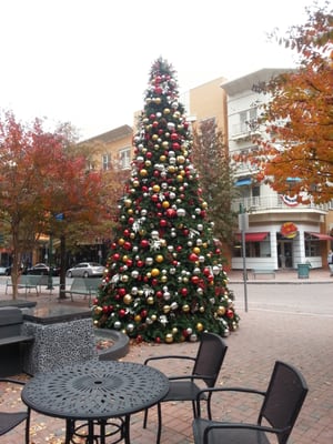 Village at Shirlington by null