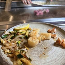 Dream360° - Scallops