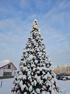 Santa Claus House by null