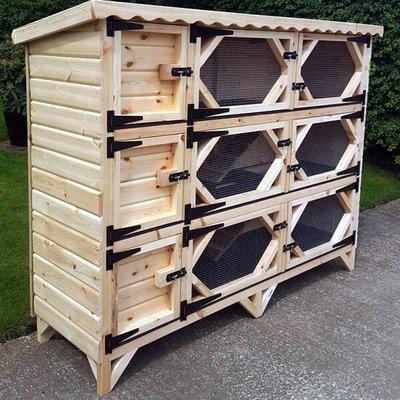 triple rabbit hutch