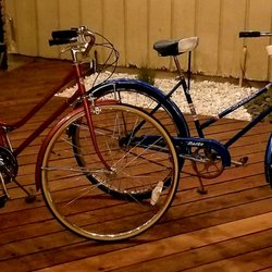 Canyon Creek Velo