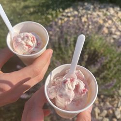 Ott Street Eats - Strawberry Ice Cream