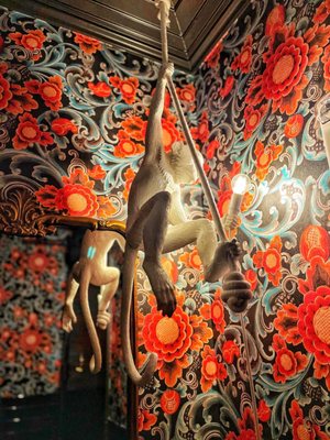 Room for Milly by null