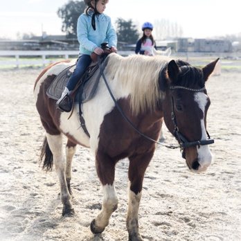 Jeanette Arnaout Training - Horseback Riding Near Me - Gilroy, California Jeanette Arnaout Training - Horseback Riding Near Me - Gilroy, California
