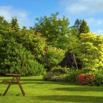 Mory's Tree & Landscaping Services - a garden - Tree Services Near Me - Roosevelt, New York Mory's Tree & Landscaping Services - a garden - Tree Services Near Me - Roosevelt, New York