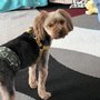 Photo of Paw Paradise Spa