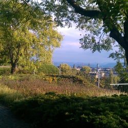 GZ Schindlergut - Blick zum See