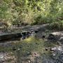 Photo of Lakeridge Park