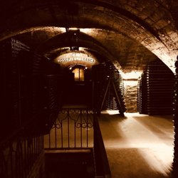 Gramona - A look into their cellar