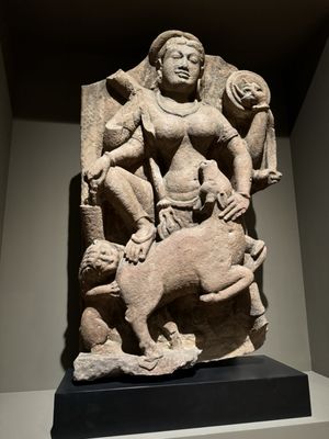Michael C. Carlos Museum by null