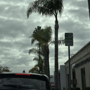 Blue Whale - Find street parking, 90 minute zone. - Cafes Near Me - La Jolla, California