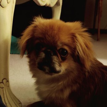 Pet Stuff - Pet Stores Near Me - Minnetonka, Minnesota