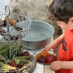 Novato Parents Nursery School - The Little Explorers Preschool