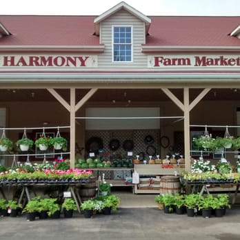 Harmony Farm Market - the front of the store - Fruits & Veggies Near Me - Springfield, Ohio Harmony Farm Market - the front of the store - Fruits & Veggies Near Me - Springfield, Ohio