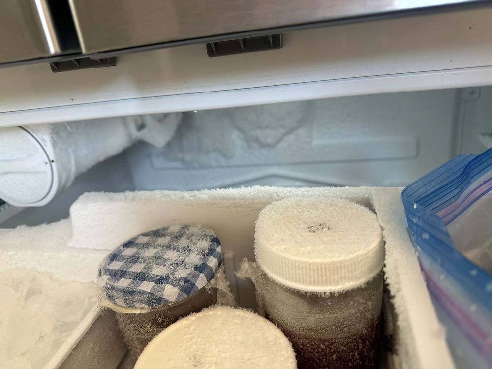 EVO APPLIANCE REPAIR Updated September 2024 5515 Boundary Road